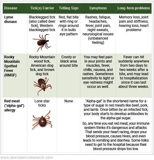 tick identification guide south east