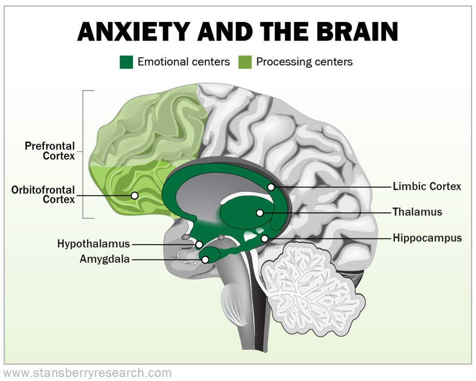 don-t-let-your-anxiety-beat-you-health-and-wealth-bulletin