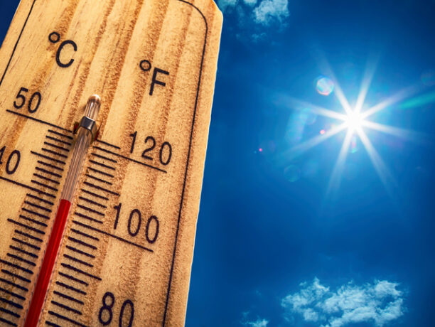 Seven Tips to Survive the Heat This Summer