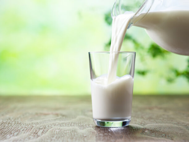 Milk Isn't the Key to Healthy Bones