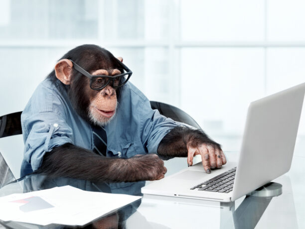 You Can Invest Smarter Than a Chimpanzee